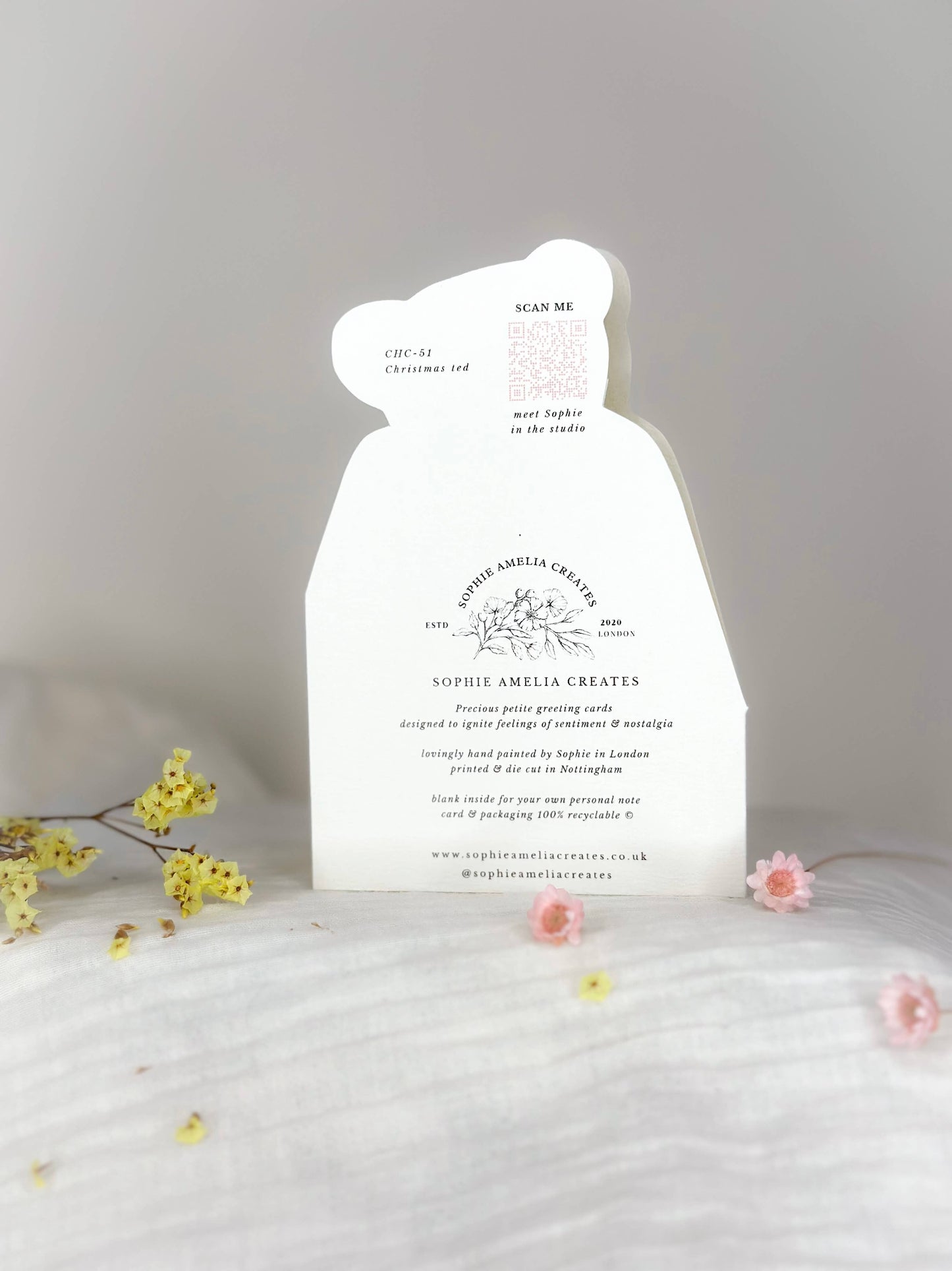 Christmas Teddy Card