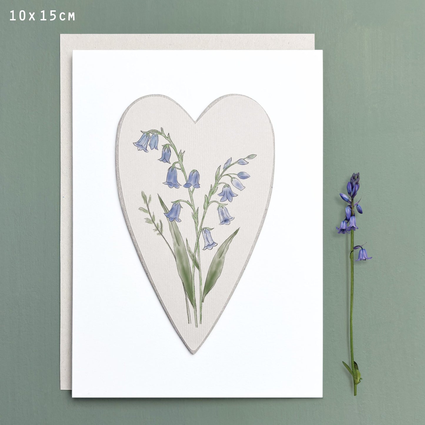 Bluebell Wild Flower Card