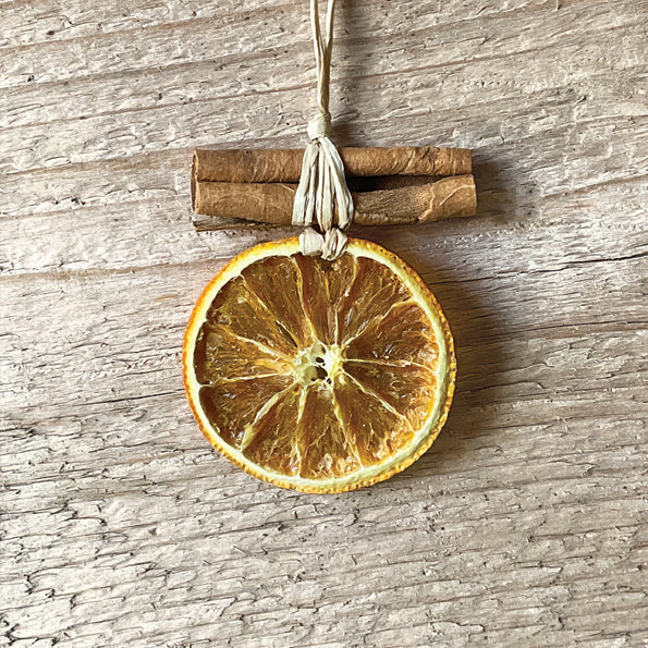 Hanging Orange Slice with Cinnamon