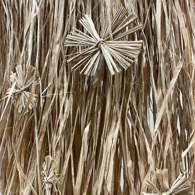 Hanger Grass Bloem