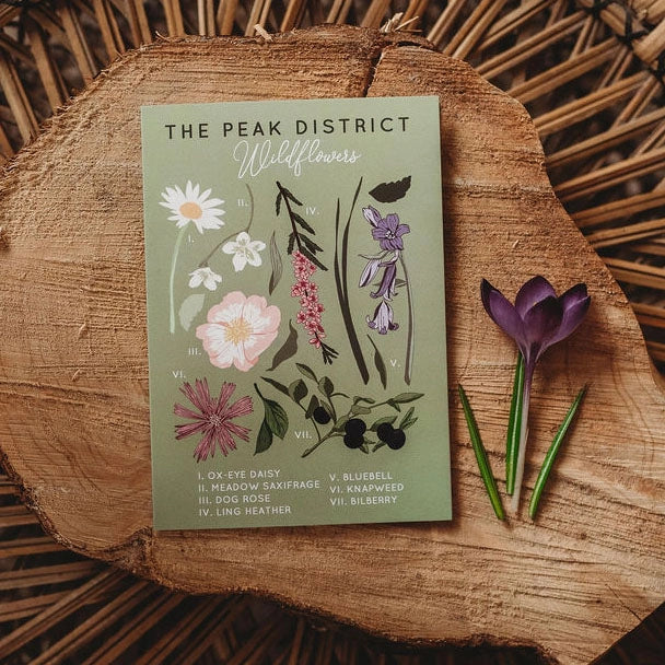 The Peak District Study Card