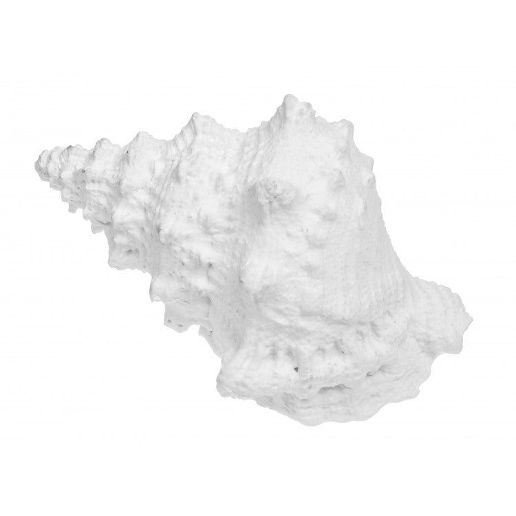Resin Frog shell
