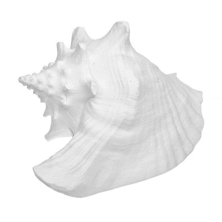 Resin Conch Shell