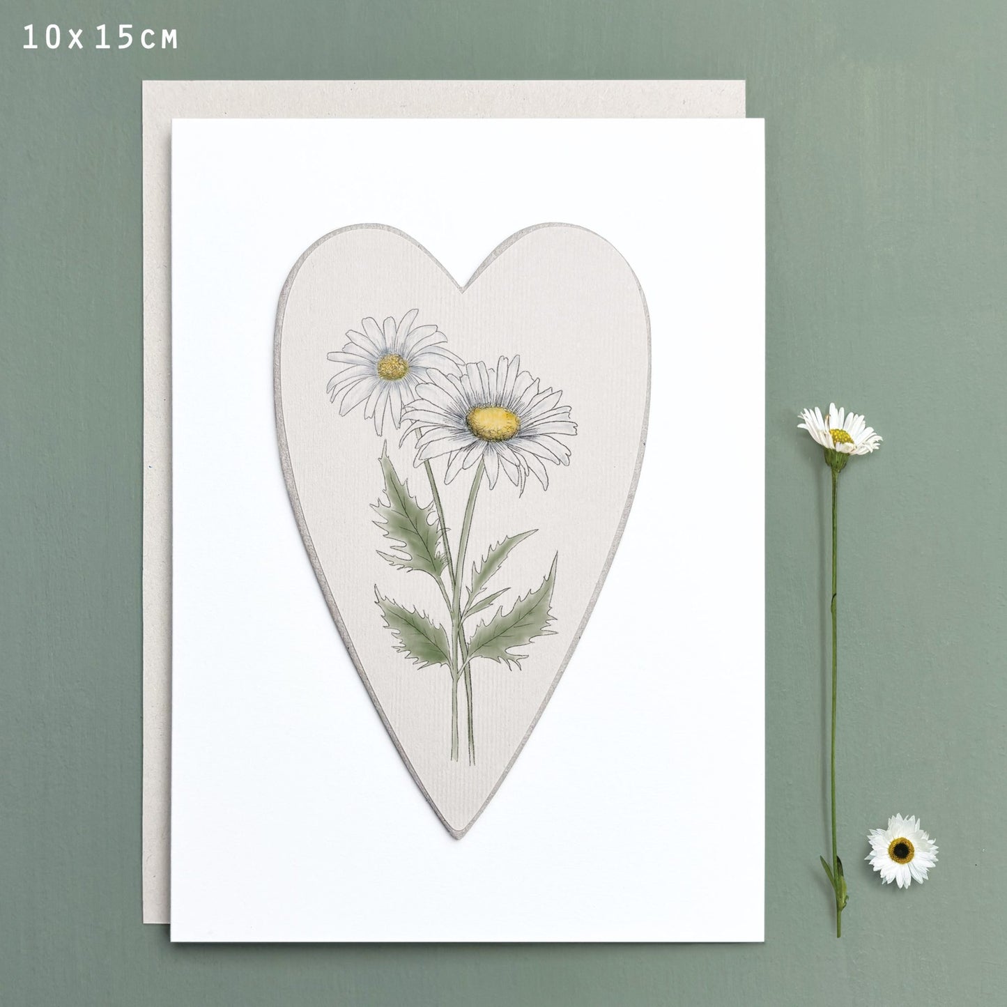 Daisy wildflower card