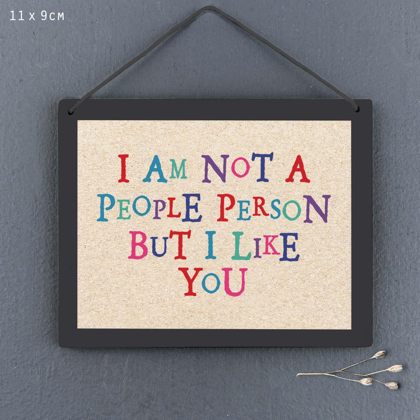 Sign-Not a people person but I like you