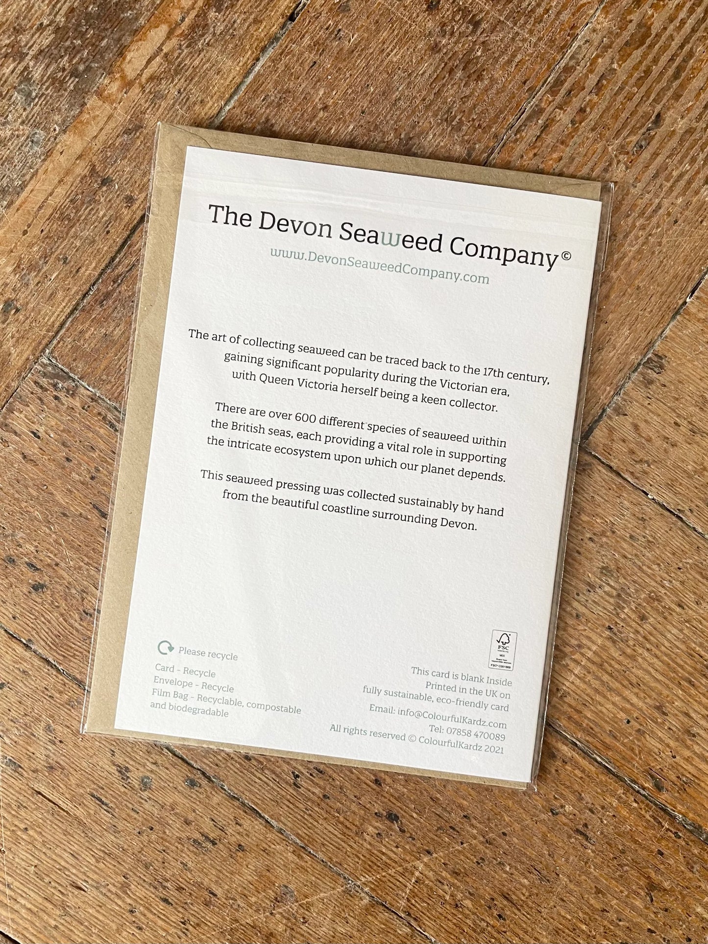 Velvet Horn Seaweed Greeting Card