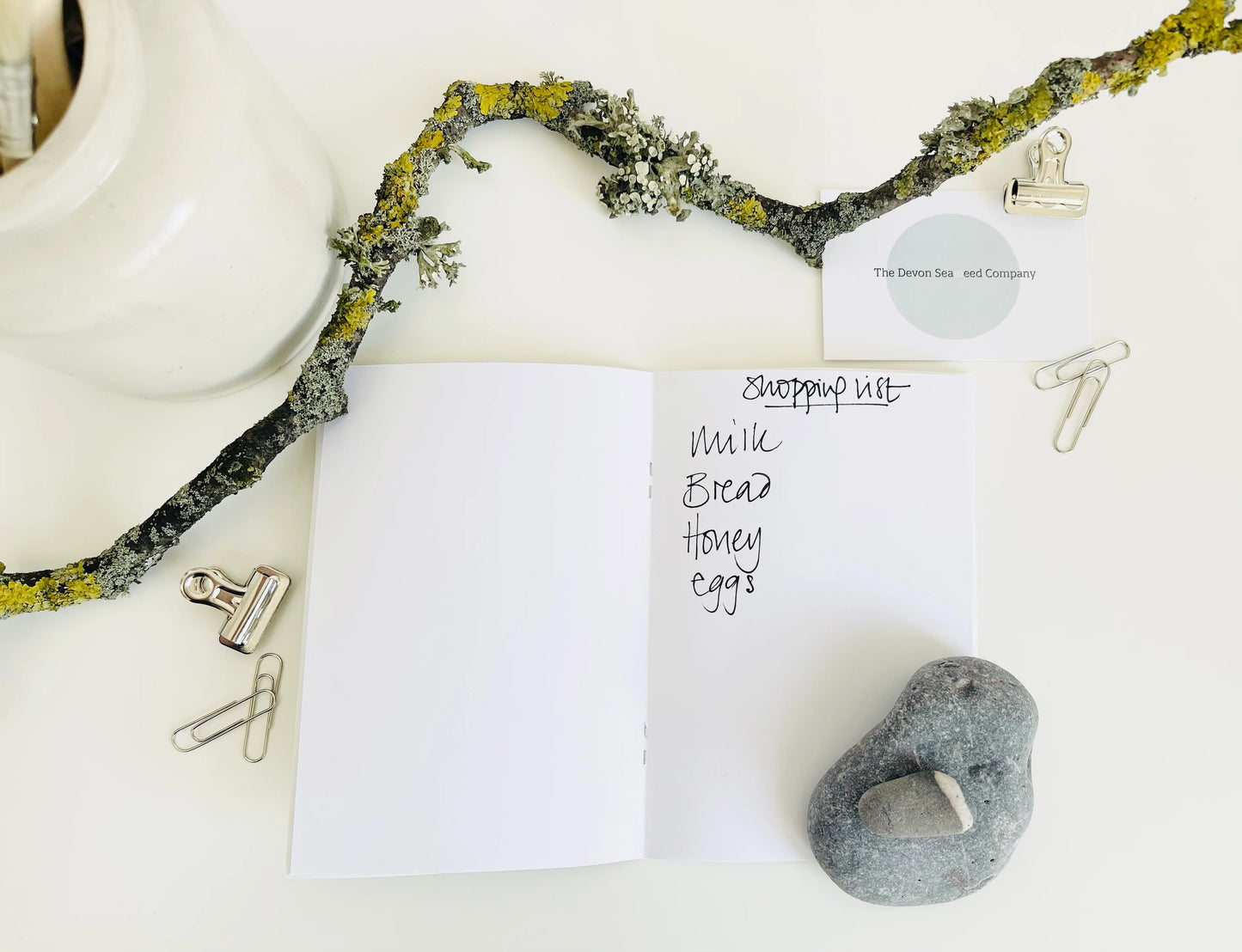 A6 Plain Notebook - Feather Weed (Single)