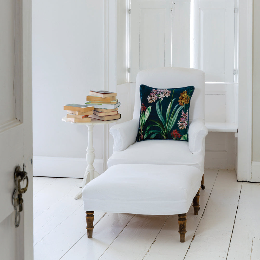 Velvet Cushion Agapanthus White