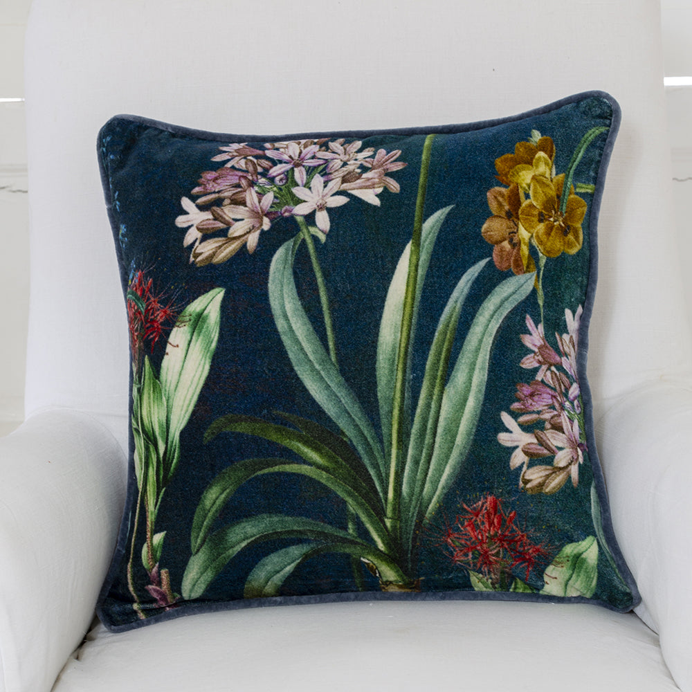 Velvet Cushion Agapanthus White