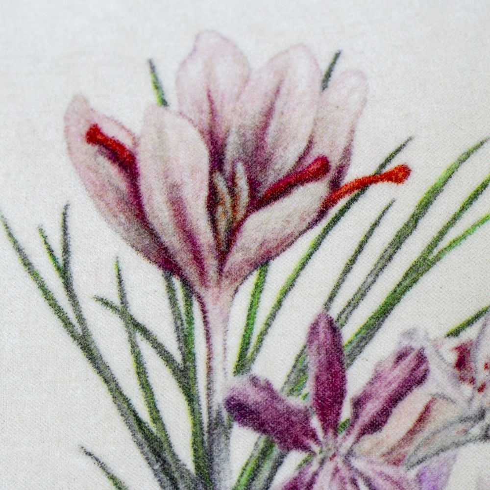 Velvet Crocus Cushion
