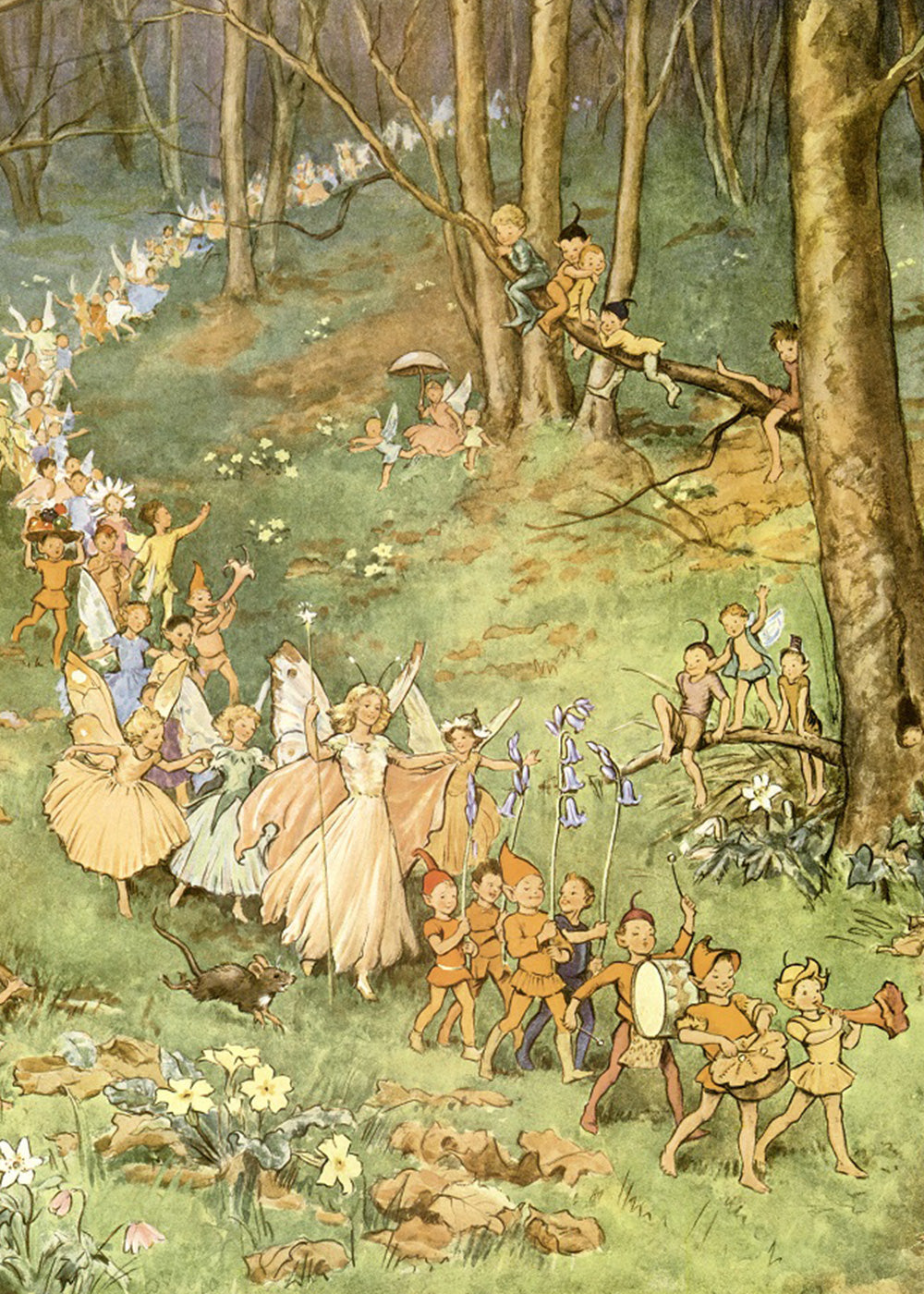The Fairy Way Card
