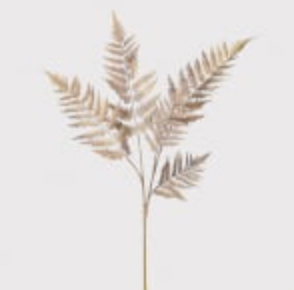 Dragon Claw Fern Spray