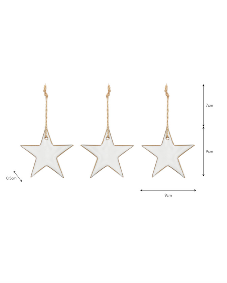 Ithaca Christmas Star