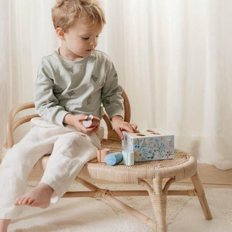 Little Dutch Shape Sorter Forest Friends