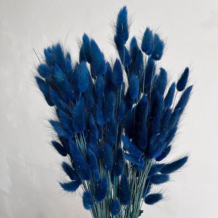 Bunny Tails