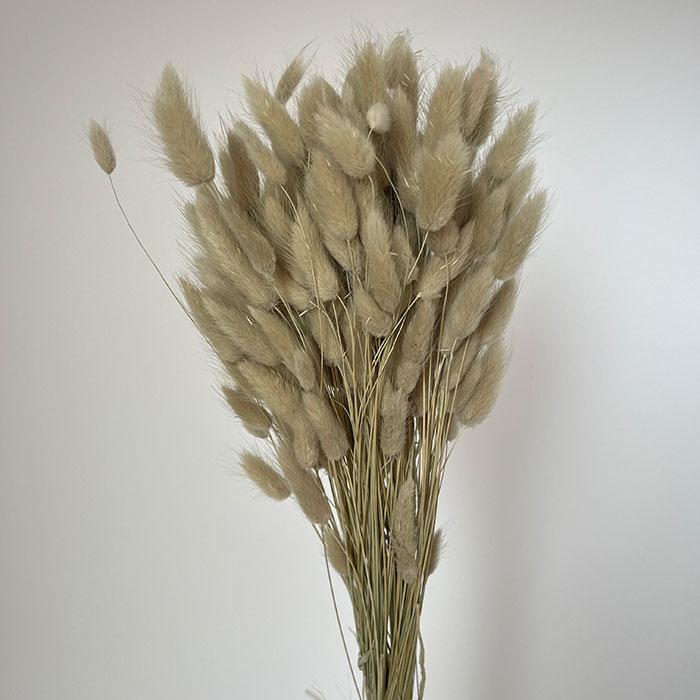 Bunny Tails