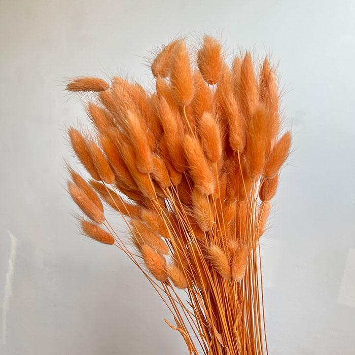 Bunny Tails