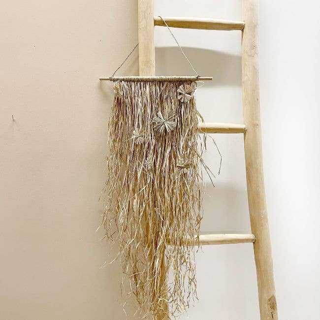 Hanger Grass Bloem