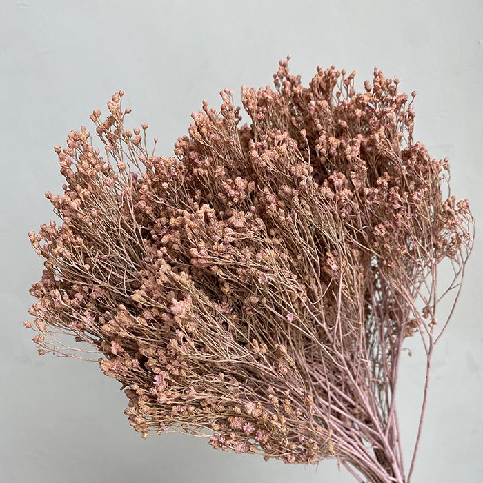 Dusky Pink Broom