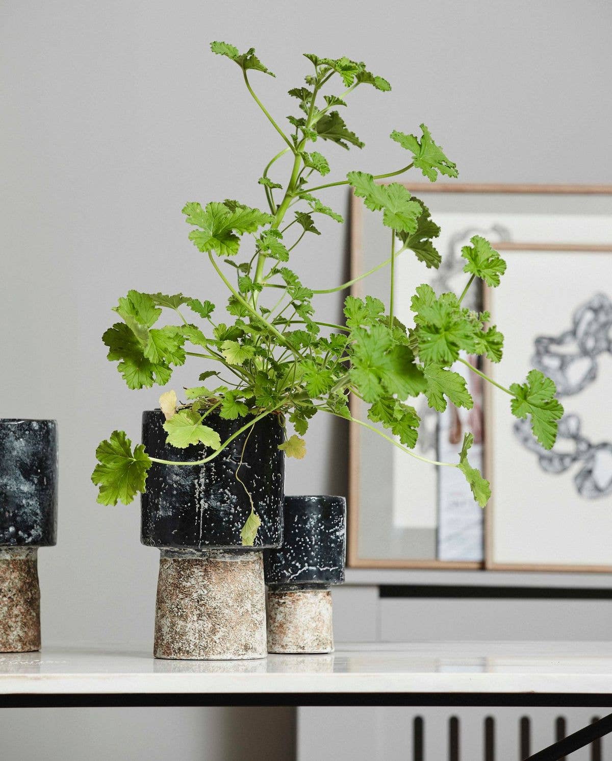 Reso Tall Pot