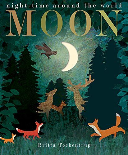 Moon: Night Time Around The World