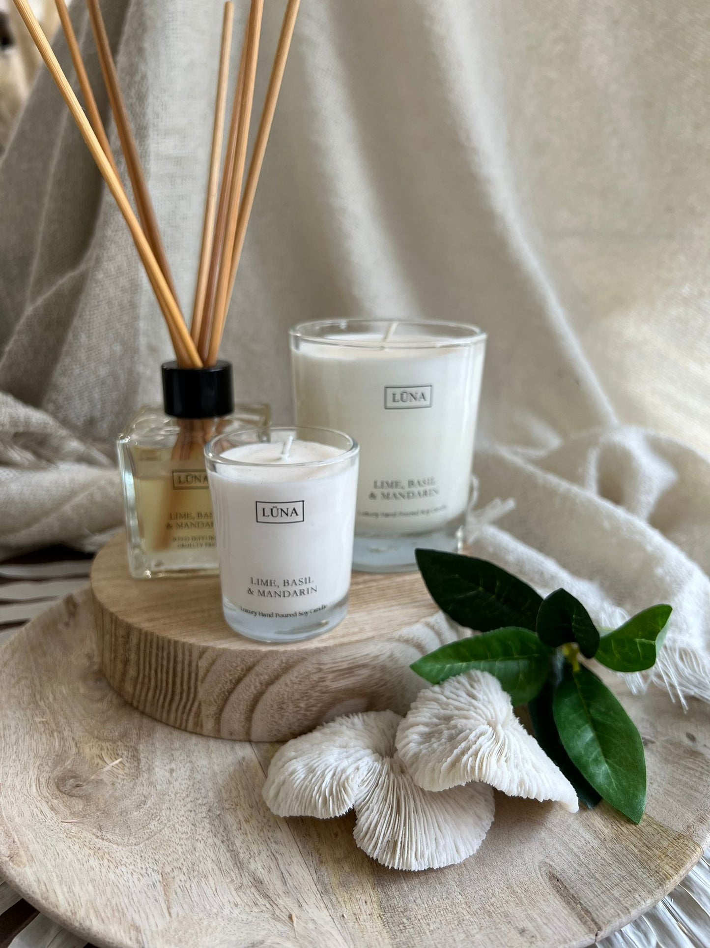 Lime, Basil and Mandarin Candle