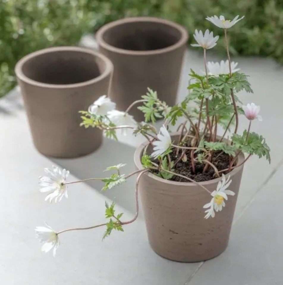 Stratton Cement Warm Stone Pot
