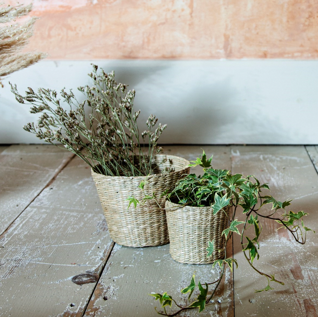 Plain Seagrass Planter