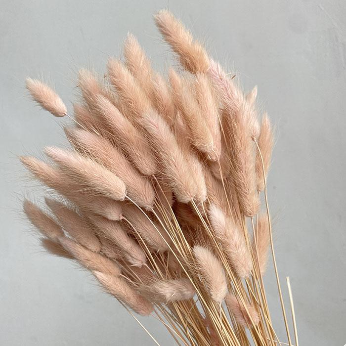 Bunny Tails