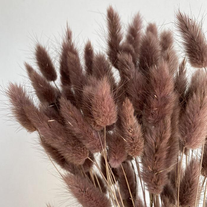 Bunny Tails