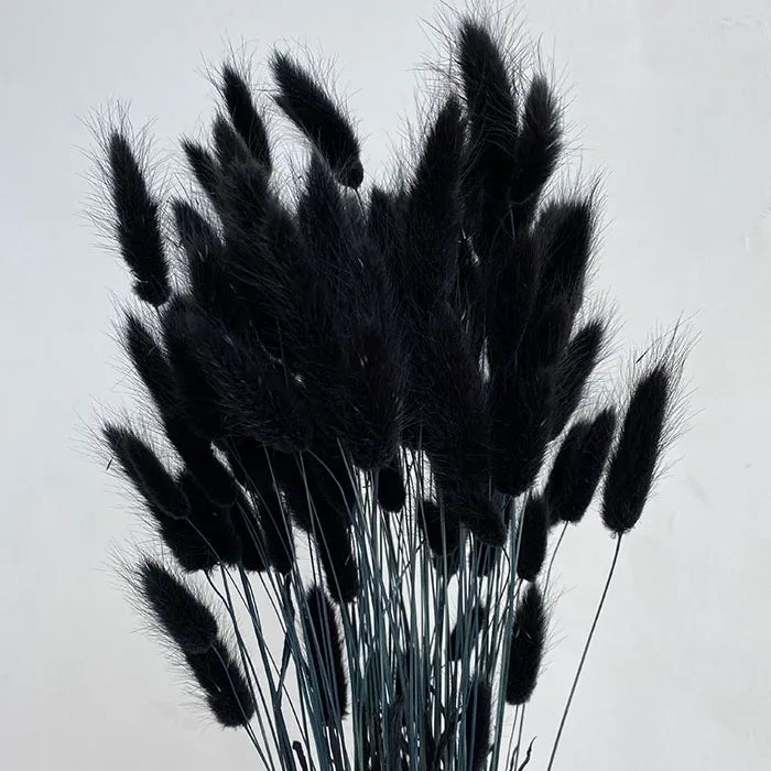 Bunny Tails