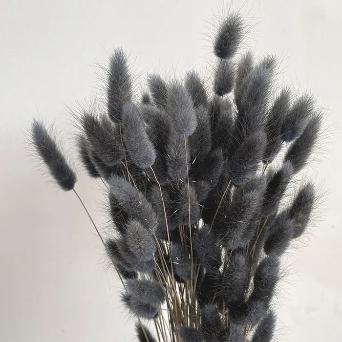 Bunny Tails
