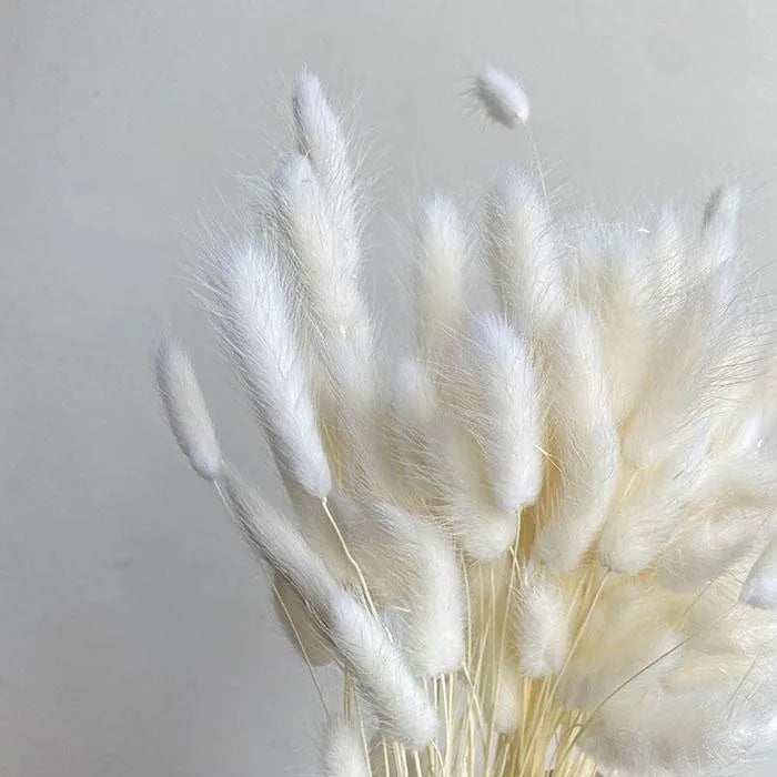 Bunny Tails
