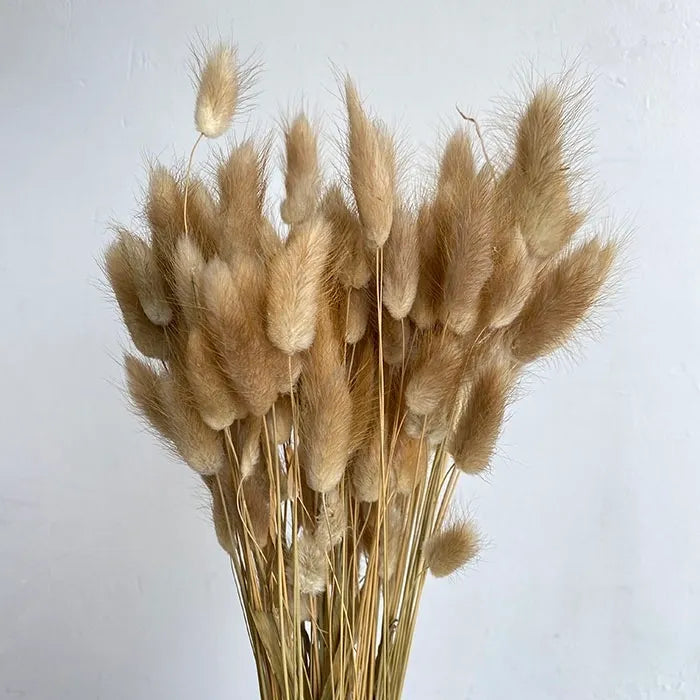 Bunny Tails