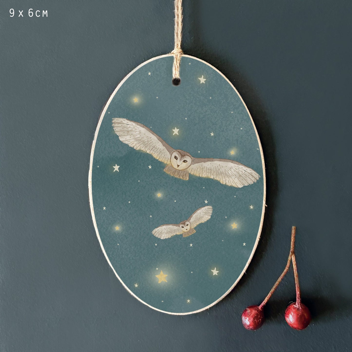 Owl Stary Night Tag