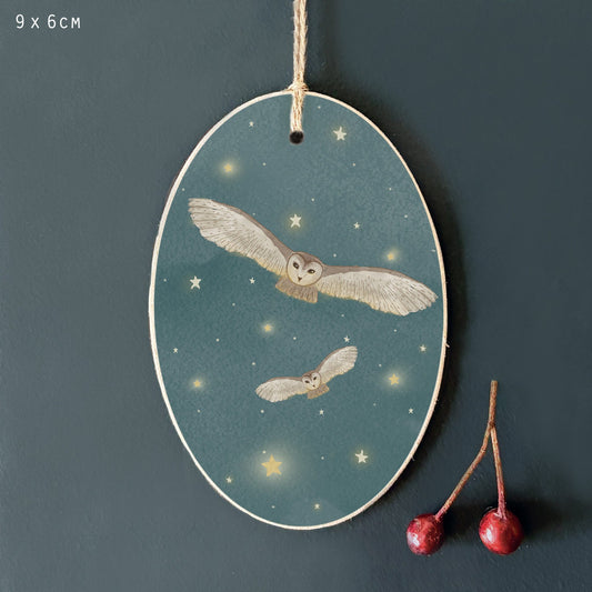 Owl Stary Night Tag