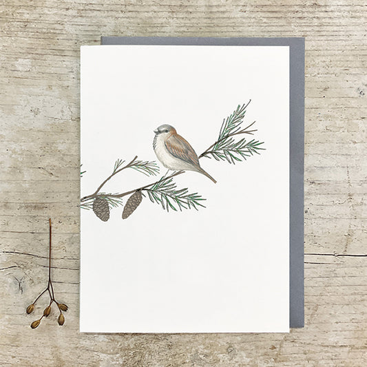 Sparrow Card