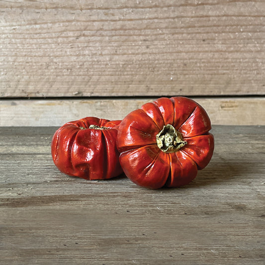 Single Dried Pumpkin