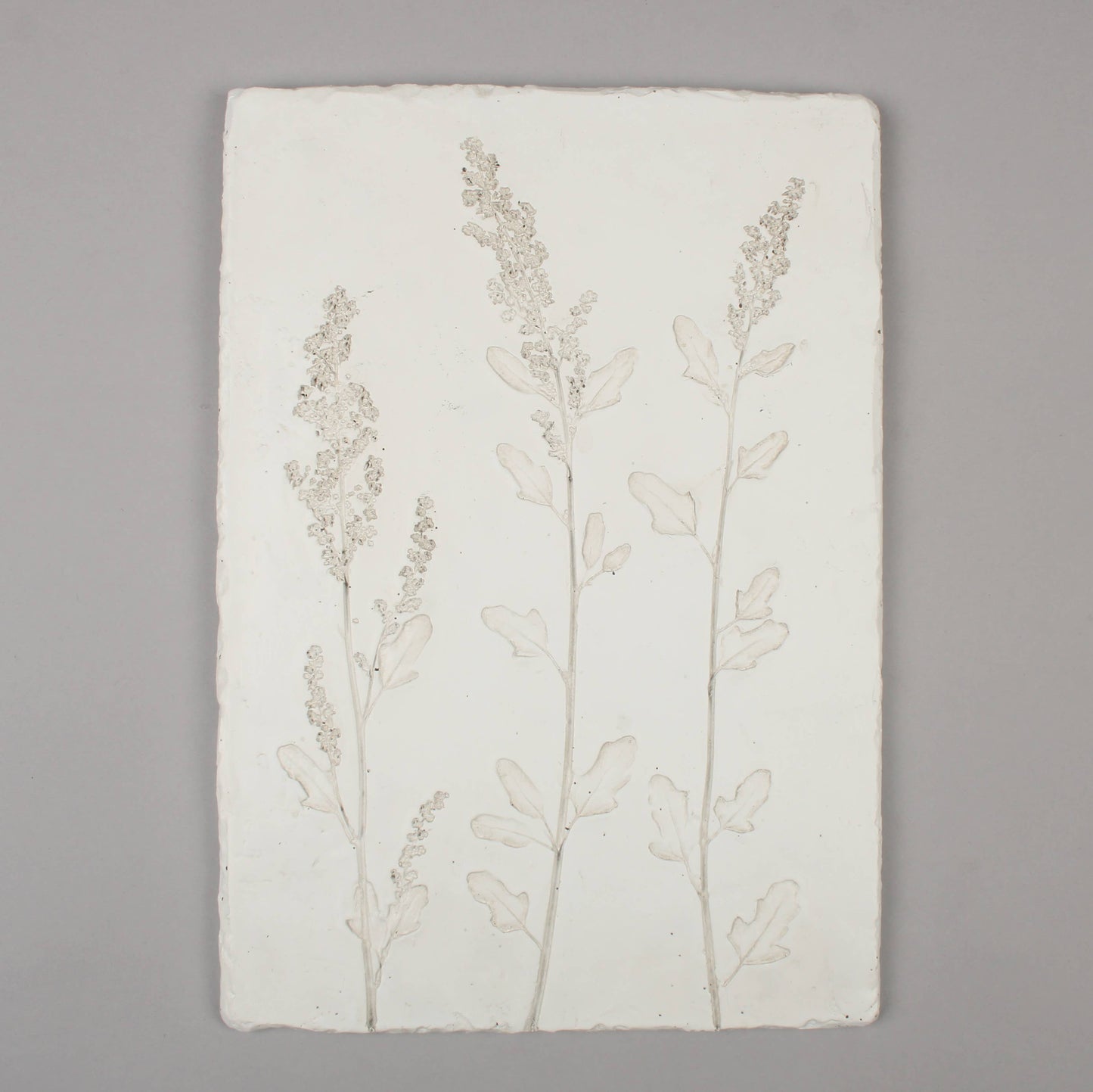Pressed Wildflower Wall Plaque White Plaster-look Floral Art