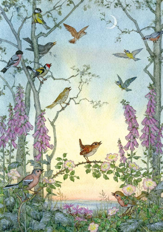 Dawn Chorus  Molly Brett Postcard