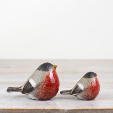 Sitting Robin