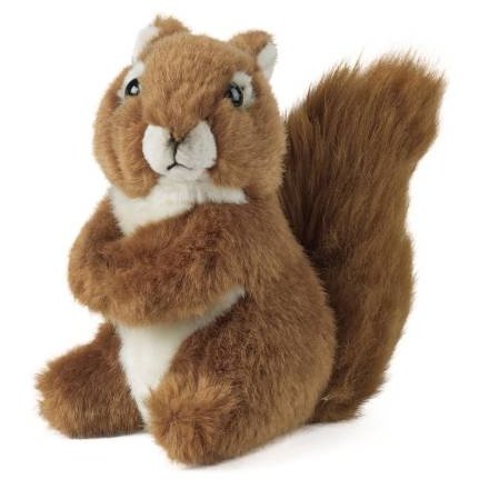 Plush Squirrel