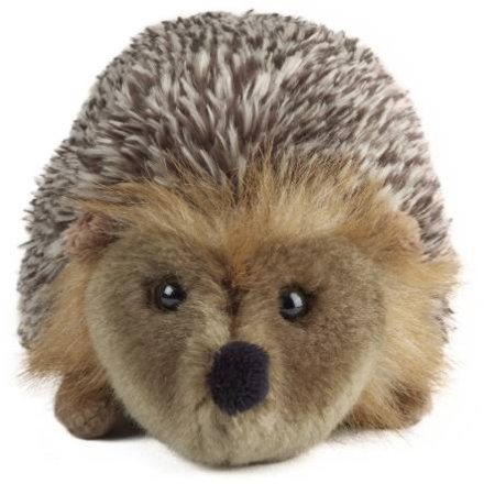 Plush Hedgehog