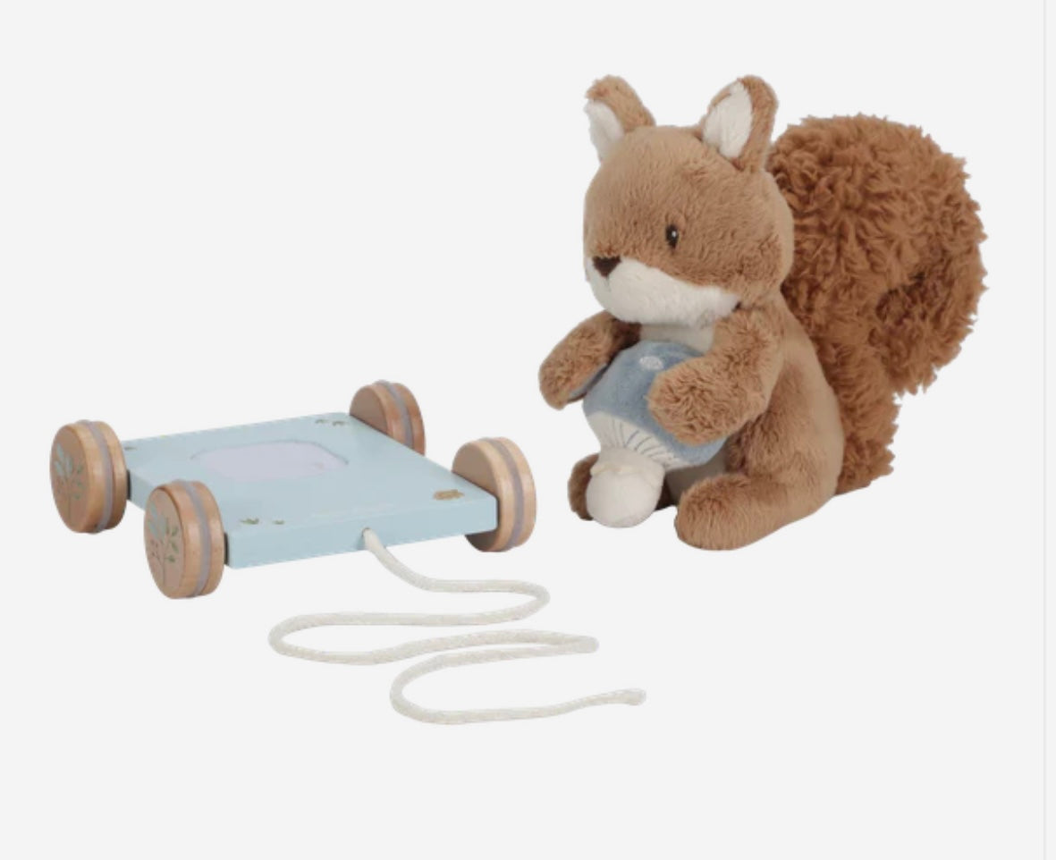 Pull along Squirrel FSC