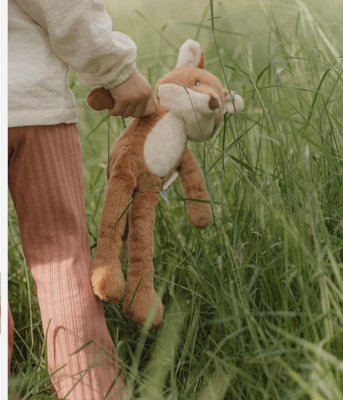 Long legs fox - Forest Friends