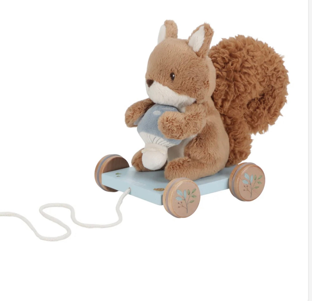 Pull along Squirrel FSC