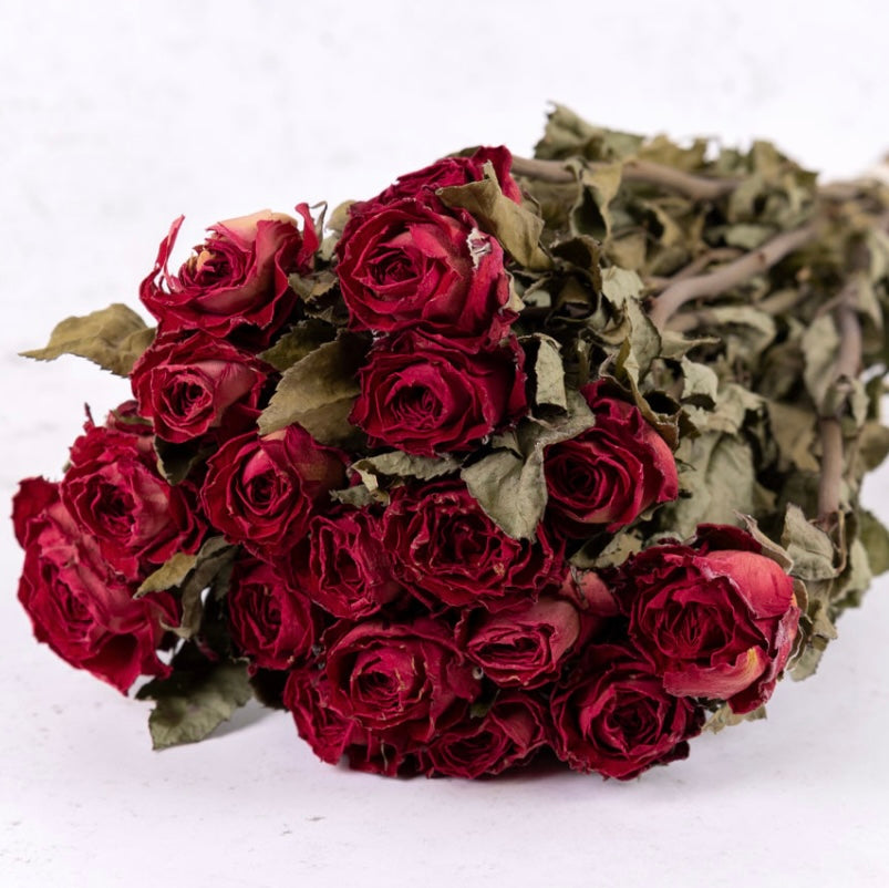 Natural Dark Red Rose Dried