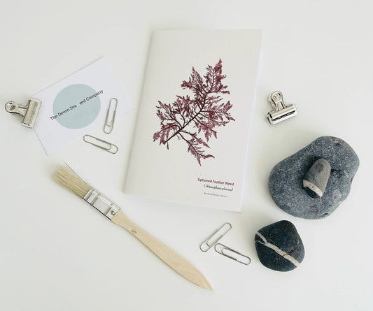 A6 Plain Notebook - Feather Weed (Single)