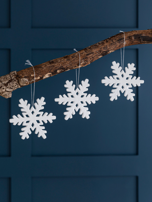 Airdrie Snowflakes
