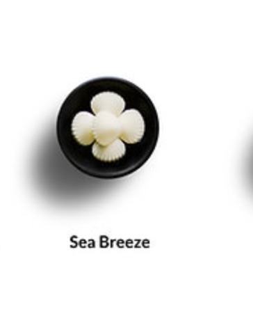 Sea Breeze Soya Wax Melt